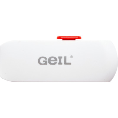 USB Flash Drive256GB Geil (GH320/USB 3.2) USB3.2